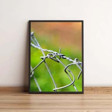 Quadro Arame Farpado 15